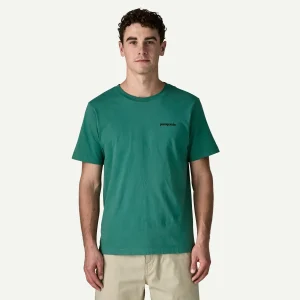 Camiseta Patagonia P-6 Responsibili-Tee Gem Green