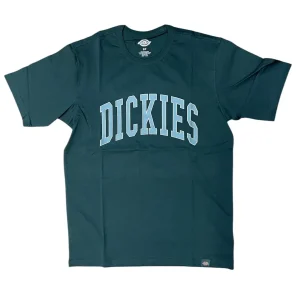 Camiseta Dickies Aitkin Green