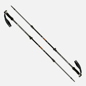 Bastón Escape Trek Pole Gris Lippi