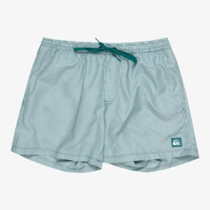 Bañador Quiksilver Everyday Deluxe Volley 15″ Teal Green